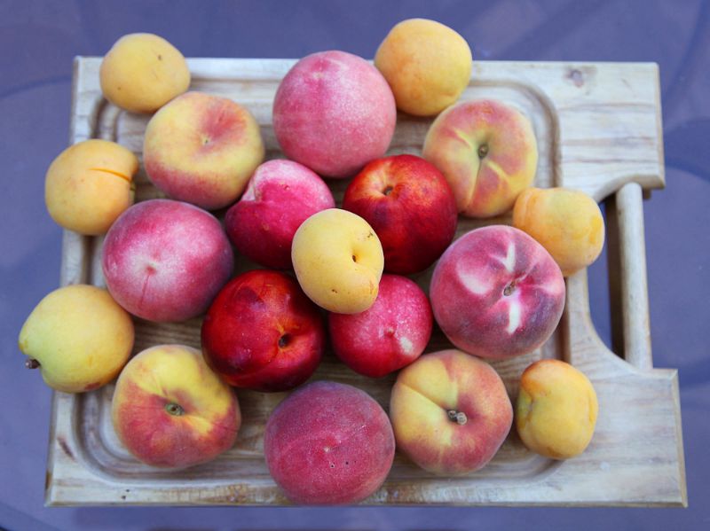 Abricots et pommes caramélisés avec une glace aux épices