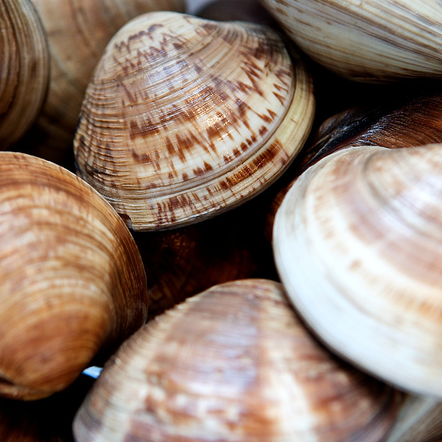 Amandes de mer en persillade