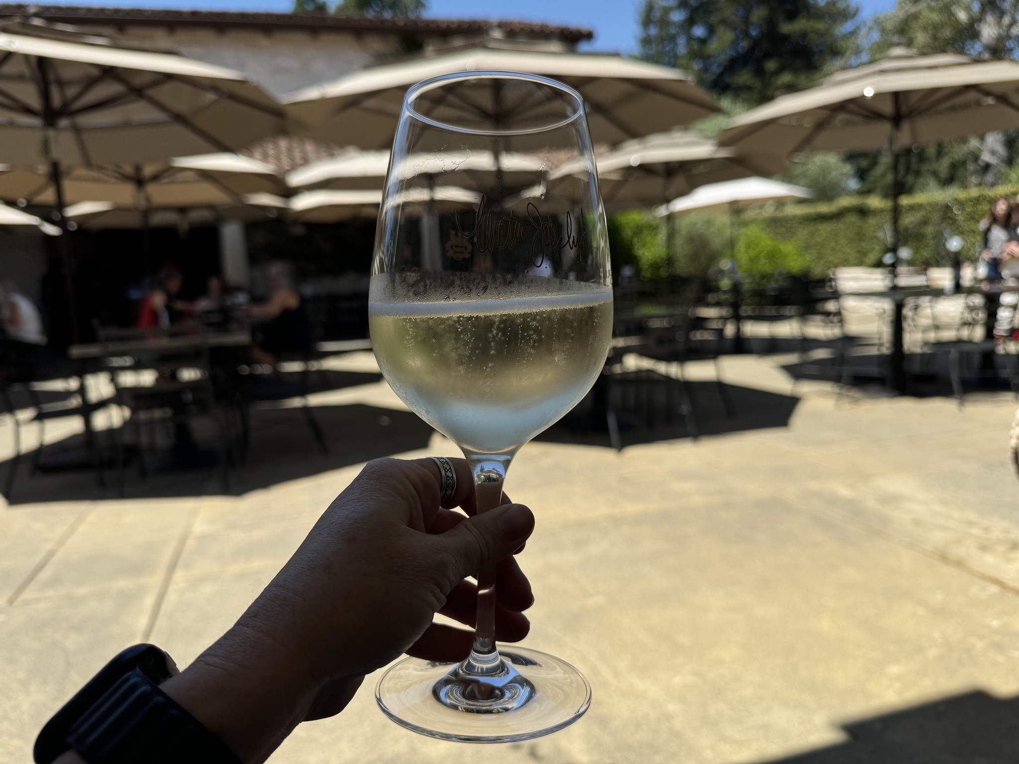 Crémant de la Loire Blanc Blanc de noirs Doux - Vin Blanc - Photo de Sarah Stierch - 101Pairing.com