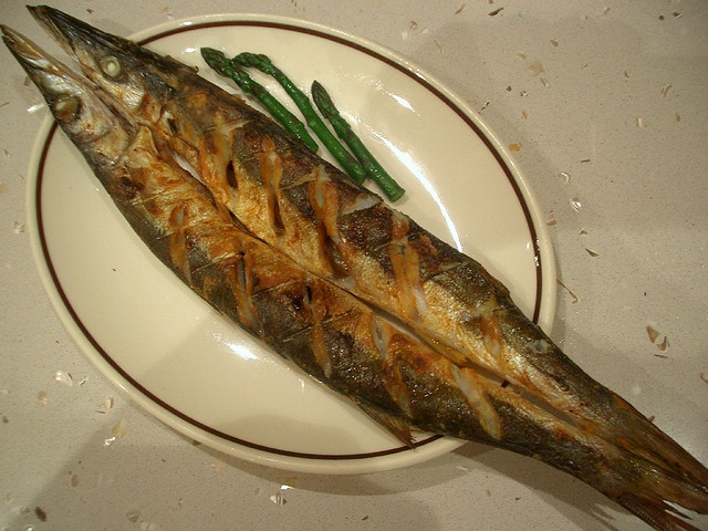 Brochet grillé