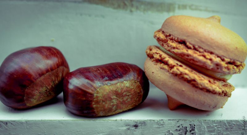 Mousse au caramel et aux marrons