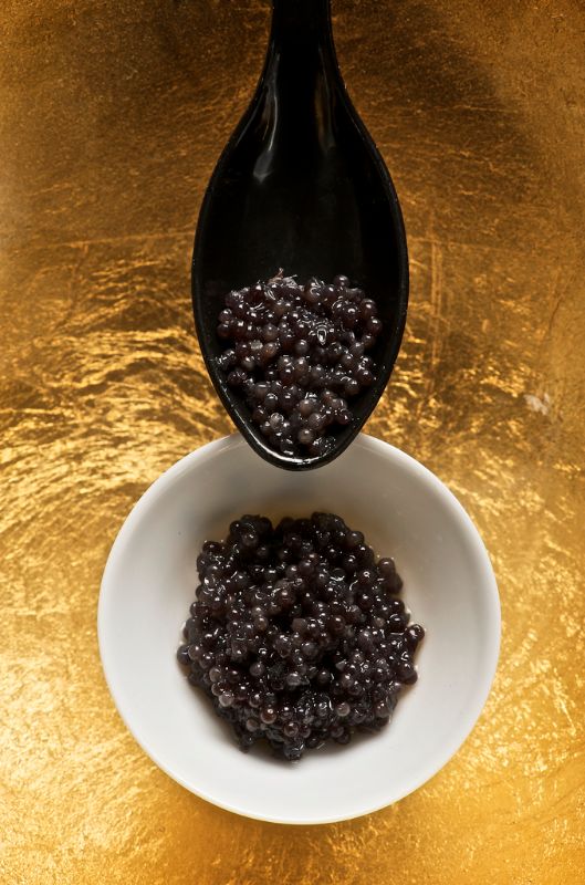 Caviar sevruga