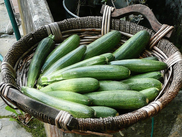 Flan aux courgettes