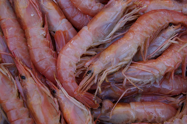 Crevettes à la sauce Nantua