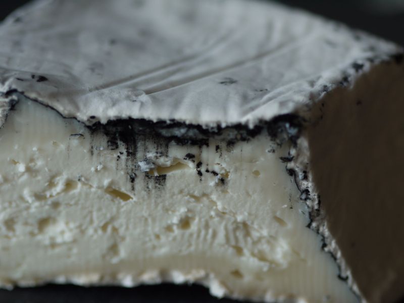 Fromage de chèvre cendré