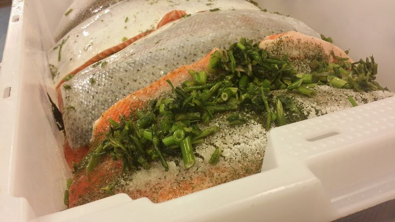 Saumon « Gravlax »