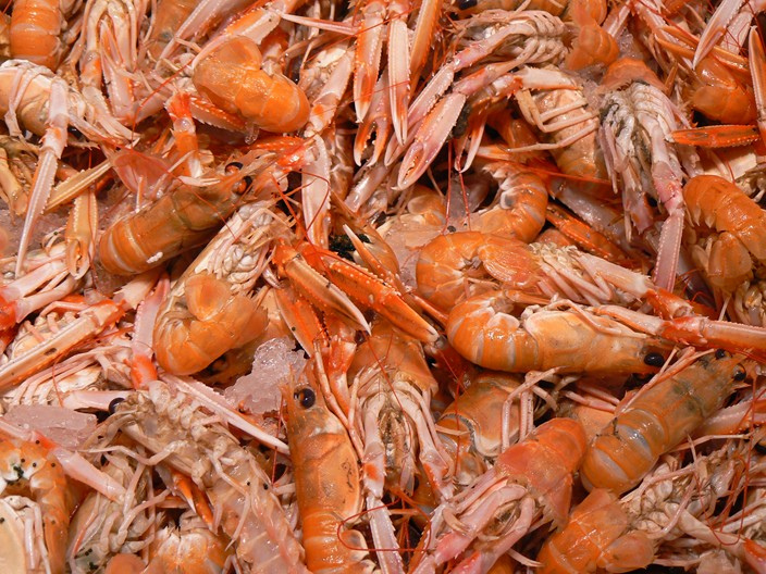 Tartare de langoustines aux huîtres