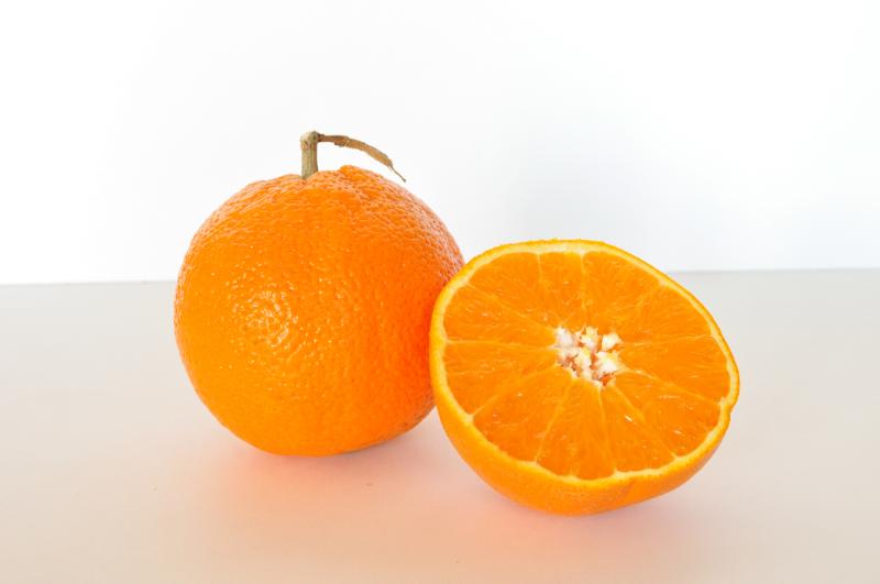 Orange givrée