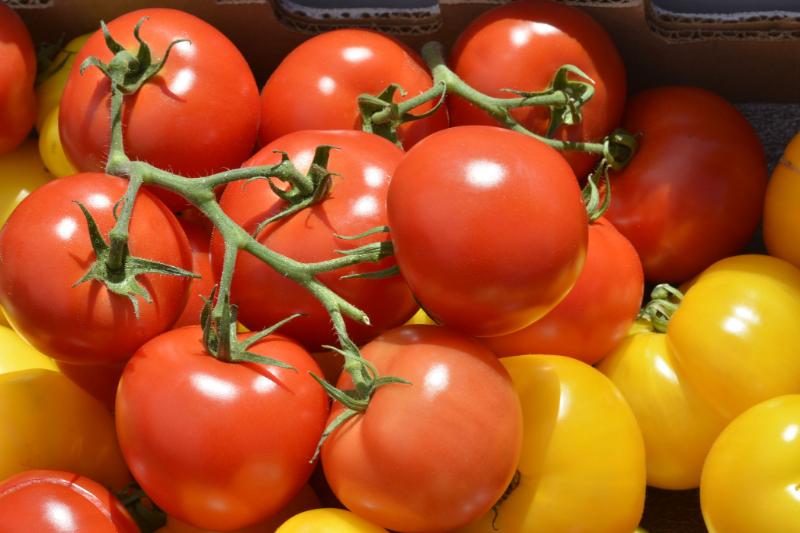 Tomates à la tomate