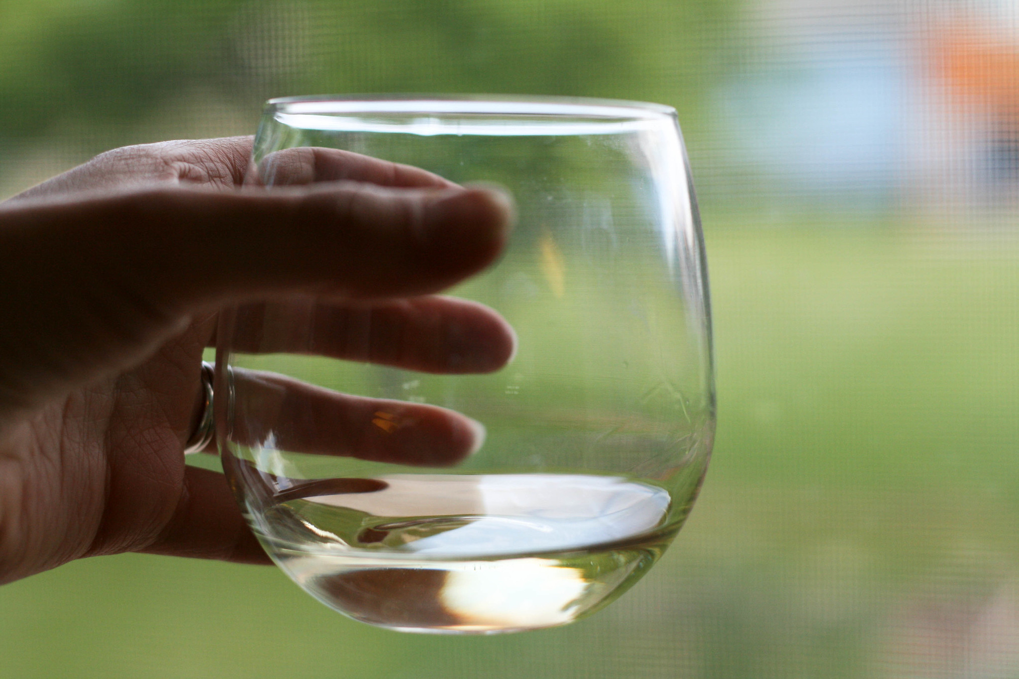 Alsace Blanc   Côte de Rouffach            Riesling - Vin Blanc - Photo de Jo - 101Pairing.com