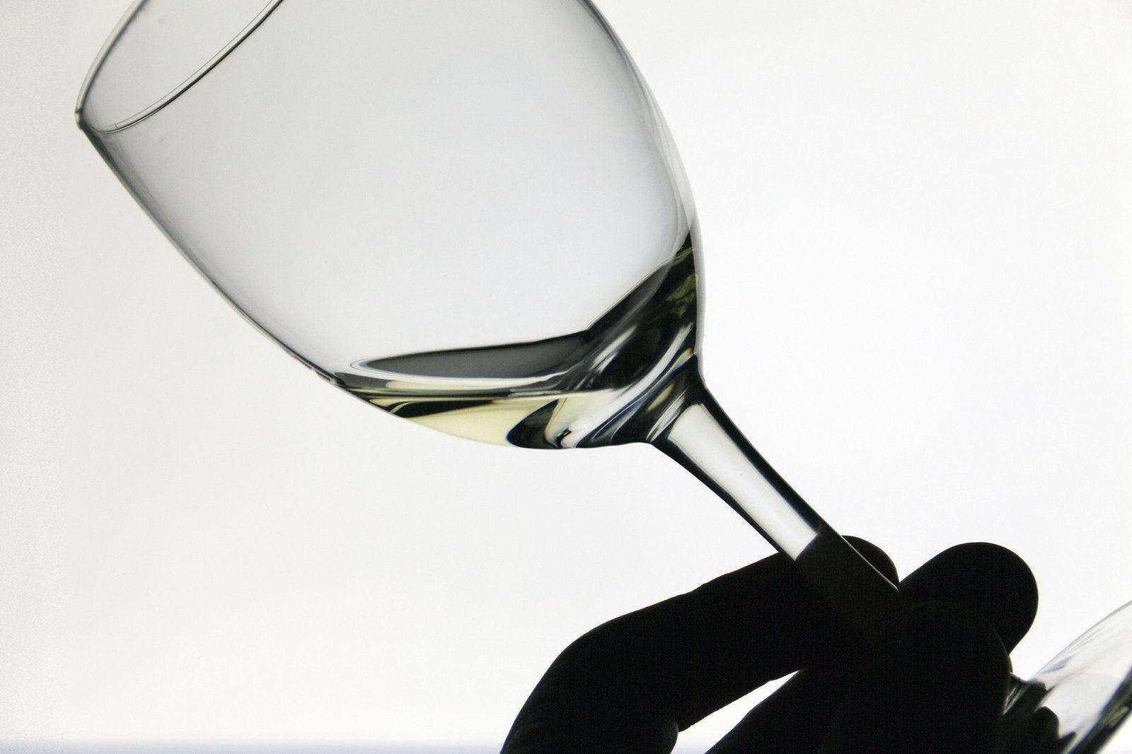 Condrieu Blanc - Vin Blanc - Photo de Northsky71 - 101Pairing.com