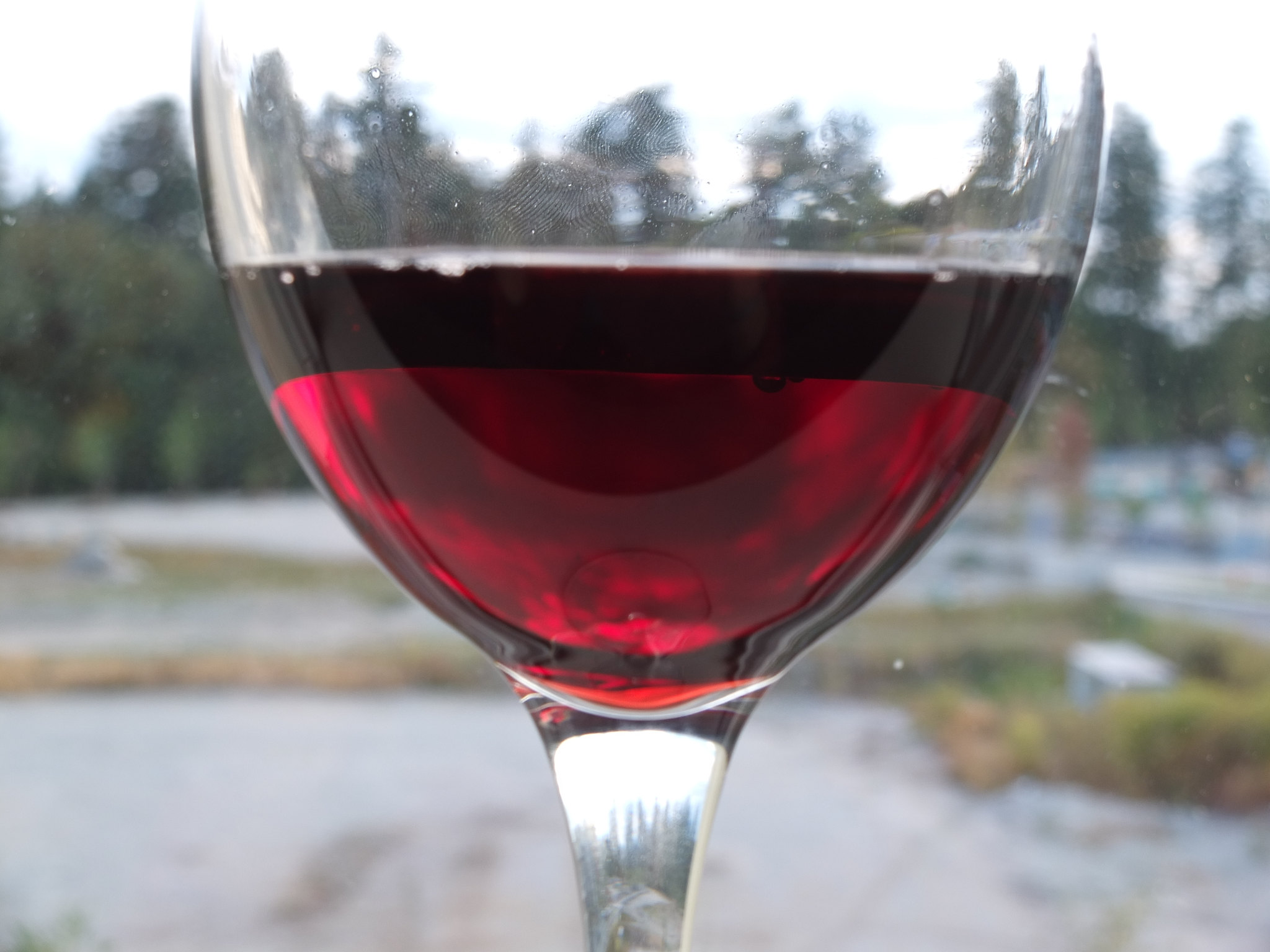 Ventoux Rouge      Primeur - Vin Rouge - Photo de Christina Hendricks - 101Pairing.com